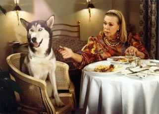 O zvířatech a lidech (1993) [TV seriál]