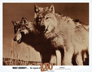 Lobo (1962)