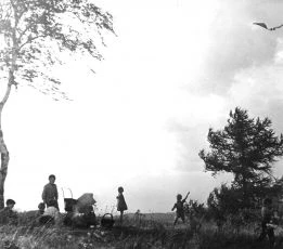 Honzíkova cesta (1956)