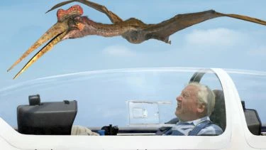 Létající monstra s Davidem Attenboroughem 3D (2010)