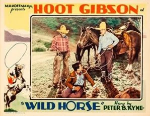 Wild Horse (1931)