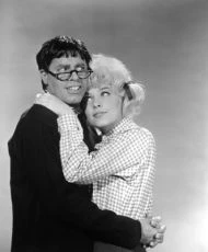 Zamilovaný profesor (1963)