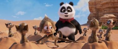 Medvídek panda v Africe (2024)