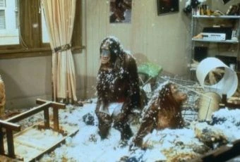 Stát se opicí - Dej opici cukr (1981)
