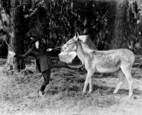 Little Miss Rebellion (1920)