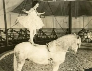 Shirley of the Circus (1922)