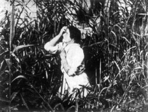 Zkažená krev (1913)