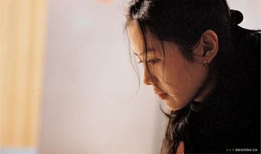 Oechul (2005)