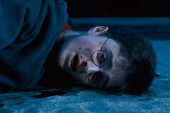 Harry Potter a Fénixův řád (2007)