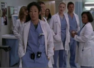 Sandra Oh  + Elena Pompei + Katherine Heigl +T.R. Knight + Justin Chambers + Chandra Wilson