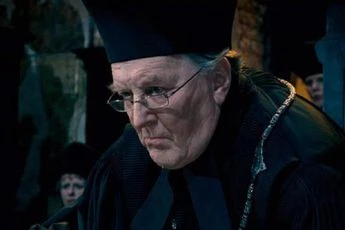 Harry Potter a Fénixův řád (2007)