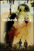 Jestřáb umírá (The Hawk Is Dying)