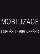Mobilizace Luboše Dobrovského