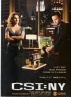Kriminálka  New  York (CSI: New York)