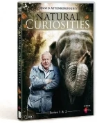 Přírodní kuriozity Davida Attenborougha (David Attenborough's Natural Curiosities)