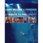 Gary Moore &amp; Friends - One Night in Dublin - A Tribute to Phil Lynott