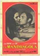 Mandragora (La mandragola)