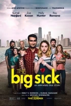 Pěkně blbě (The Big Sick)