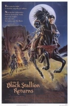 Návrat černého hřebce (The Black Stallion Returns)