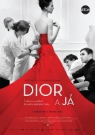 Dior a já (Dior and I)