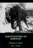 Zabití slona elektrickým proudem (Electrocuting an Elephant)