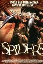 Pavouci (Spiders)