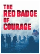 Vyznamenán za odvahu (The Red Badge of Courage)