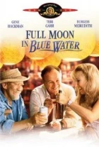 Úplněk v modré vodě (Full Moon in Blue Water)