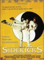 Mistr Kickboxu (Sidekicks)
