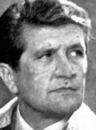 František Vicena