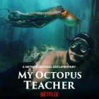 Moje učitelka chobotnice