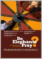 Modlí se sloni?