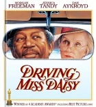 Řidič slečny Daisy (Driving Miss Daisy)