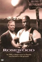 Vítejte v Rosewood (Rosewood)