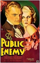 Veřejný nepřítel (The Public Enemy)