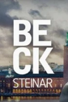 Stíny nad Stockholmem: Smrt v ohni (Beck - Steinar)