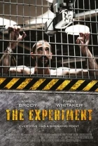 Experiment (The Experiment)