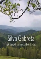 Silva Gabreta – Jak se rodí šumavský horský les
