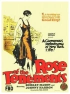 Rose of the Tenements