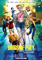 Birds of Prey (Podivuhodná proměna Harley Quinn) (Birds of Prey)