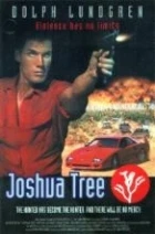 Čas pomsty (Joshua Tree)