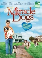 Zázrační pejsci (Miracle Dogs)