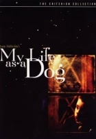 Můj život jako pes (Mitt liv som hund)