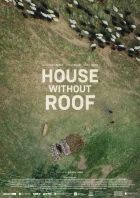 Dům bez střechy