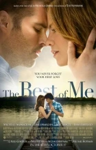 Co s láskou (The Best of Me)