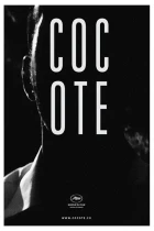 Cocote