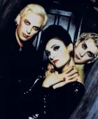  Siouxsie And The Banshees