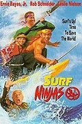 Bláznivé dědictví (Surf Ninjas)