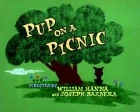 Štěně na pikniku (Pup on a Picnic)