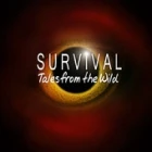 Boj o přežití (Survival: Tales from the Wild)